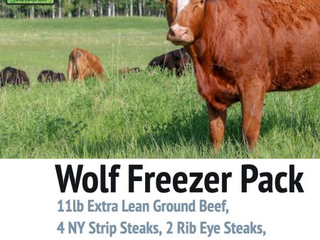 Wolf Freezer Pack Online now