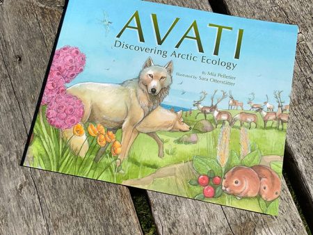 Avati: Discovering Arctic Ecology Fashion