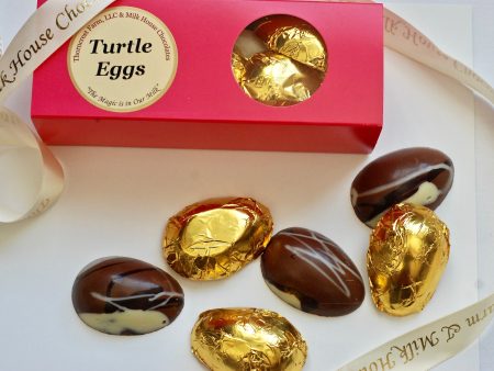 Chocolate Pecan Caramel Turtle Eggs Supply