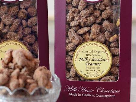 Organic Roasted Milk Chocolate Covered Peanuts Hot on Sale