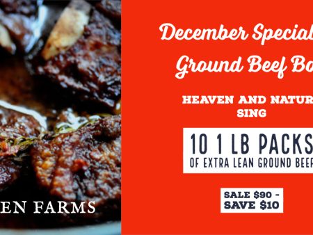 December Special #4- Ground Beef Box Online now