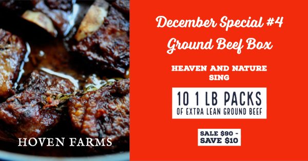 December Special #4- Ground Beef Box Online now