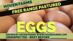 Eggs- FOR EDMONTON PICK UP Supply