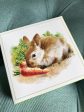 The Painted Bunny Chocolate Box Online