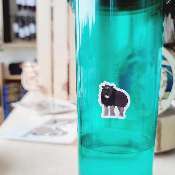 Calf Musk Ox Sticker Discount