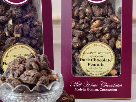 Organic Roasted Dark Chocolate Covered Peanuts Hot on Sale