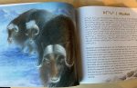 Uumajut Learn about Arctic Wildlife Vol. 2 Hot on Sale