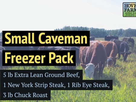 Small Caveman Freezer Pack- 10 lb of Beef Online Sale