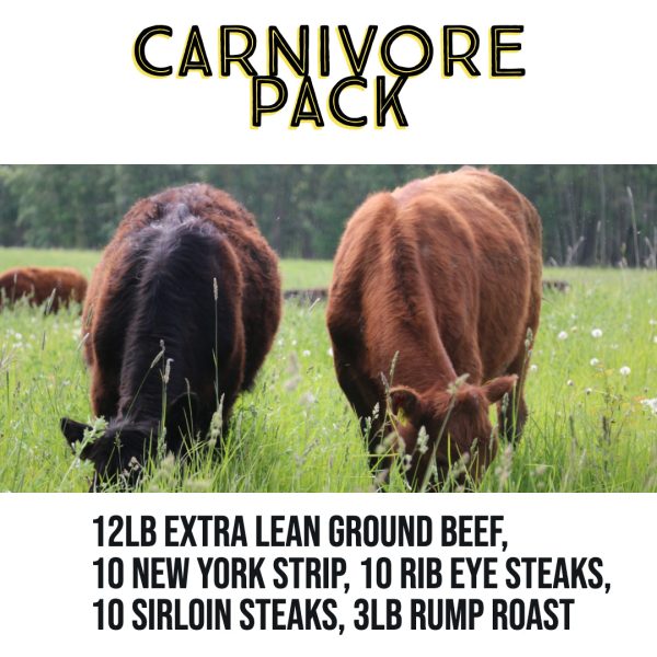 Carnivore Pack- Organic, Grass Finished- 30 lb of Beef Sale