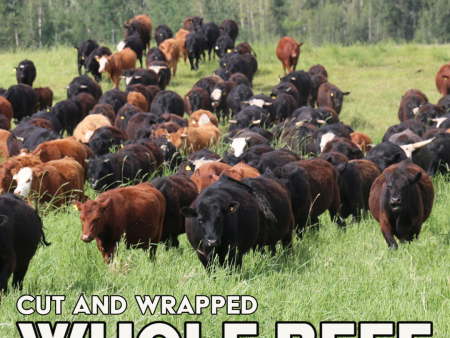 Hoven Farms- Whole Beef - Deposit on Sale