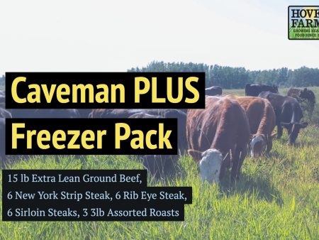 Caveman PLUS Freezer Pack- Organic Grass Finished- 30 lb of Beef Supply