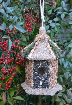 EDIBLE BIRD HOUSES W  ELENA ON WEDNESDAY JANUARY 29TH @ 4:30-5:30 Online Sale