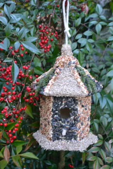 EDIBLE BIRD HOUSES W  ELENA ON WEDNESDAY JANUARY 29TH @ 4:30-5:30 Online Sale