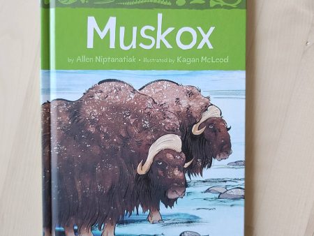 Animals Illustrated Muskox Online now