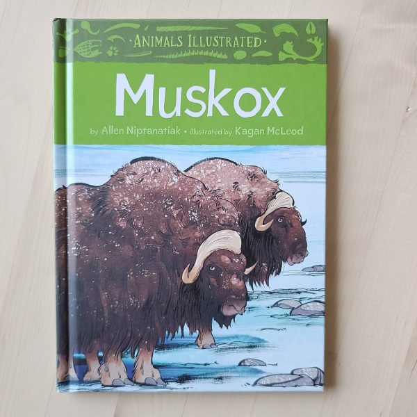 Animals Illustrated Muskox Online now