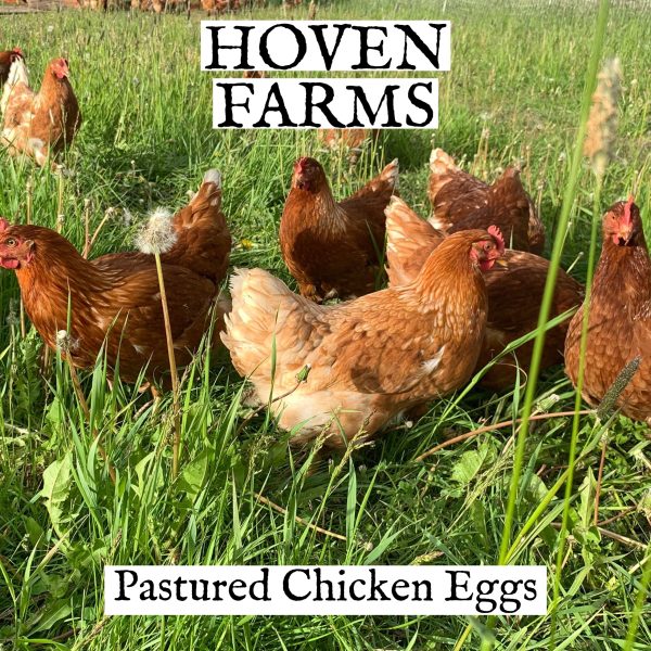 Eggs- FOR FARM PICK UP on Sale