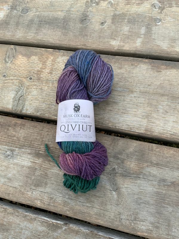 Hand Painted Beginner Blend Yarn Sale