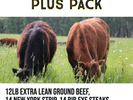 Carnivore Plus Pack- Organic, Grass Finished- 35 lb of Beef Online now