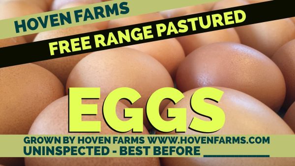 Eggs- FOR RED DEER and SYLVAN LAKE PICK UP For Sale