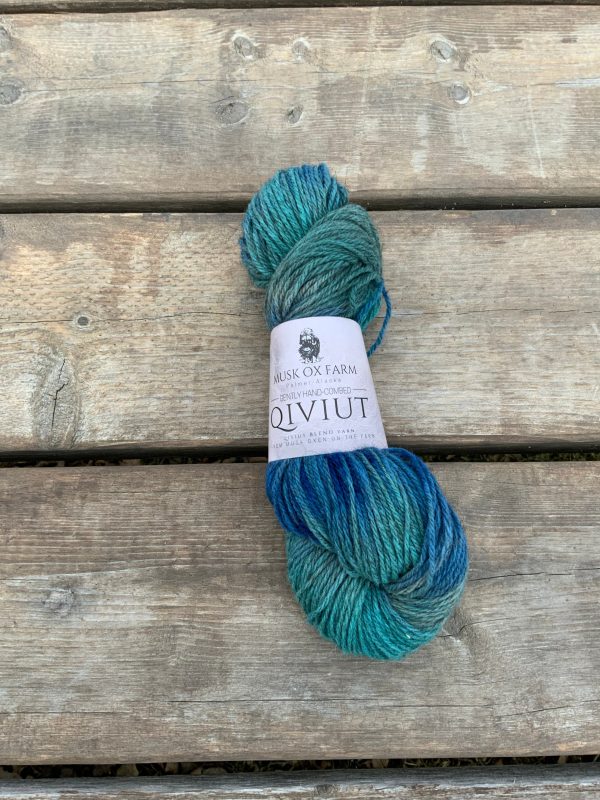 Hand Painted Beginner Blend Yarn Sale