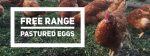 Eggs- FOR EDMONTON PICK UP Supply