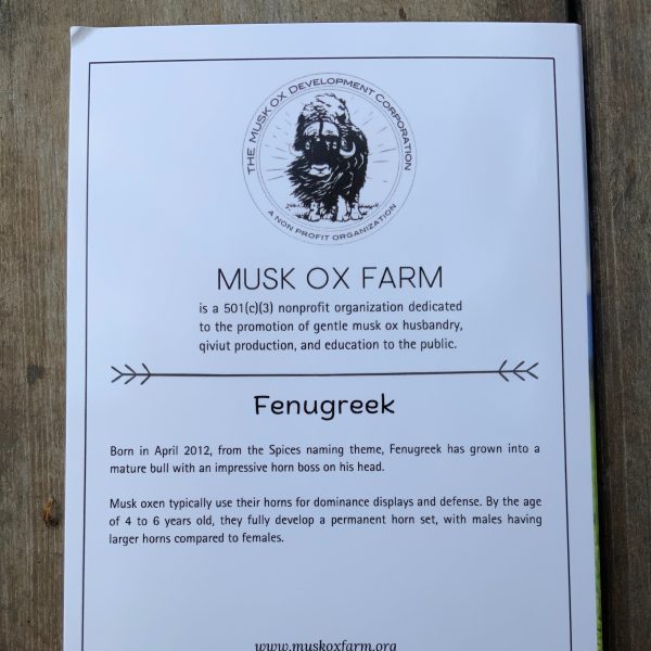 Fenugreek Card Sale