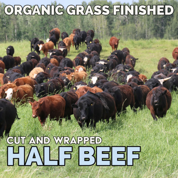 Hoven Farms- Half Beef - Deposit Fashion