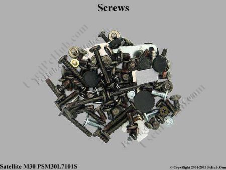 Toshiba Satellite M30 Series Set Of Screws Supply