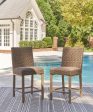 Walton Bridge Outdoor Bar Stool (Set of 2) Discount